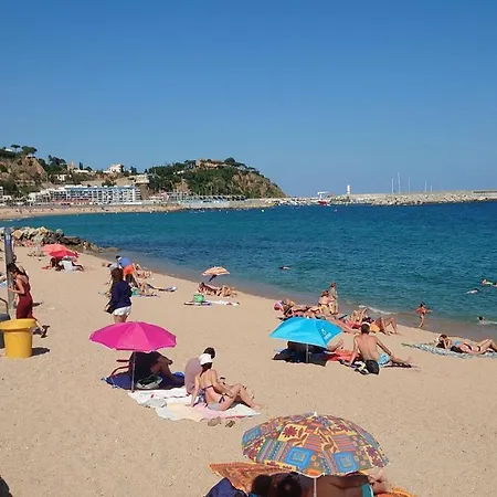 Centro De A 20m De La Playa
