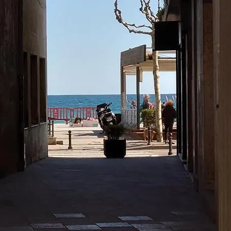 Centro De A 20m De La Playa *